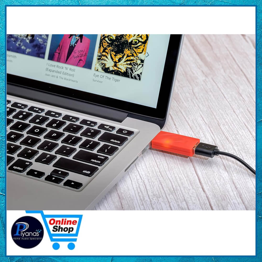  อุปกรณ์ลดสัญญาณรบกวน IFI AUDIO : IDEFENDER+ (USB A TO A)